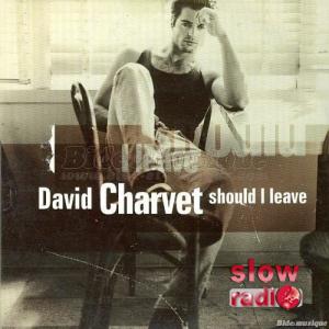 David Charvet - Should I leave