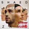 Shaed & Zayn - Trampoline